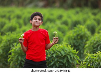 Cute Indian Child Eating Raw Banana Fruit At Agriculture Field