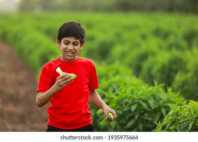 Cute Indian Child Eating Raw Banana Fruit At Agriculture Field