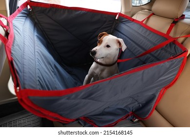 Cute Jack Russel Terrier Dog In Bag Carrier Inside Car. Pet Accessory