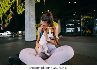 Cute Jack Russell Dog In Gym With Her Owner Woman.