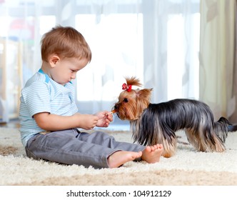 Cute Kid Feeding Pet Dog York