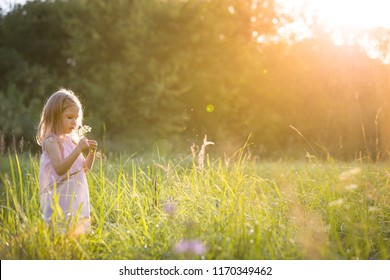 153,709 Little girl meadow Images, Stock Photos & Vectors | Shutterstock