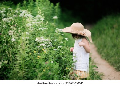 Cute Kid Girl Playing In Grass In Park, Child Among Vegetation In Forest