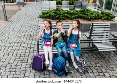 Cute kids, schoolboy and schoolgirls  eating outdoors the school from plastick lunch box. Healthy school breakfast for child. Food for lunch, lunchboxes with sandwiches, fruits, vegetables, and water - Powered by Shutterstock