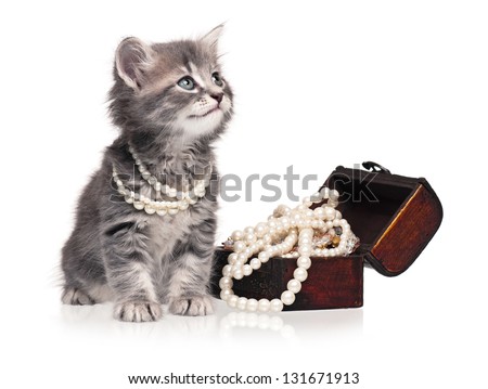 Cute kitten with pearl necklaces isolated on white background