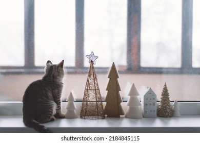 Cute Kitten Of The Scottish Straight Sitting On The Windowsill Near The Window. Cozy Home With Decorative Christmas Trees. Sweet Home. Winter Holidays Lifestyle.