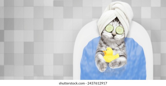 Cute kitten with towel on it head, with pieces of cucumber on it eyes and with cream on it face takes the bath at home with rubber duck. Top down view. Empty space for text - Powered by Shutterstock