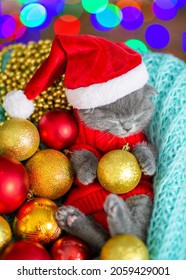 Cute Kitten Wearing Warm Sweater  And Santa Hat Sleeps With Christmas Tree Decoration Inside Basket And Hugs One Toy. Top Down View