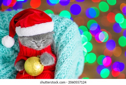 Cute Kitten Wearing Warm Sweater  And Santa Hat Sleeps With Christmas Tree Decoration. Top Down View. Empty Space For Text.