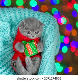 Cute Kitten Wearing Warm Sweater  Lies Inside Basket And Hugs  Gift Box. Top Down View