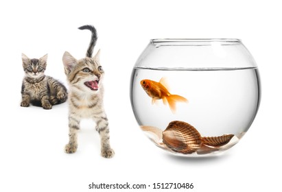 Cute kittens looking at fish in aquarium against white background