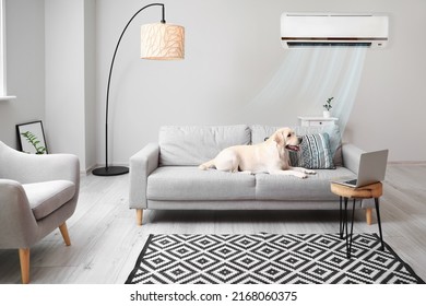 Cute Labrador dog lying on sofa in room with switched on air conditioner