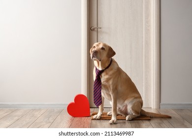 Cute Labrador Dog With Neck Tie And Gift Sitting Near Door. Valentine's Day Celebration