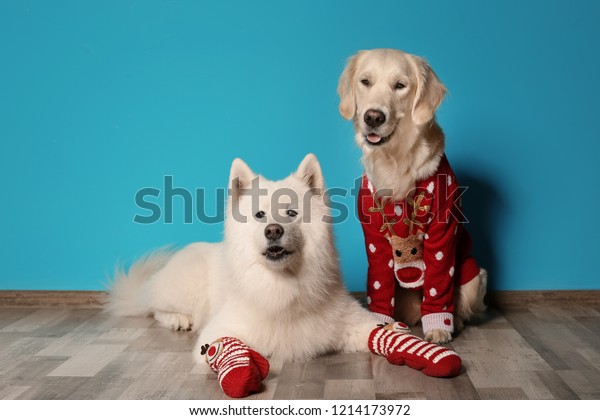 samoyed christmas sweater