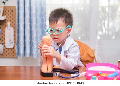 Cute Little Asian 4 Years Old School Boy In Doctor Uniform Playing Doctor At Home, Kid Wearing Stethoscope Learning And Play With Anatomical Body Organs Model, Role Playing Ideas For Kids Concept