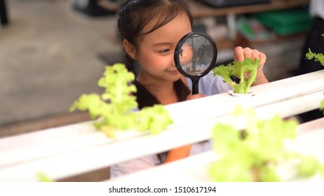 Cute Little Asian Girl Having Fun At Hydro Farm