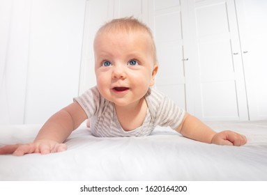 Cute Little Baby Boy Toddler Learn To Crawl View From Low Angle Smiling To Camera