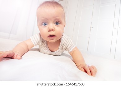 Cute Little Baby Boy Toddler Learn To Crawl View From Low Angle Looking At Camera