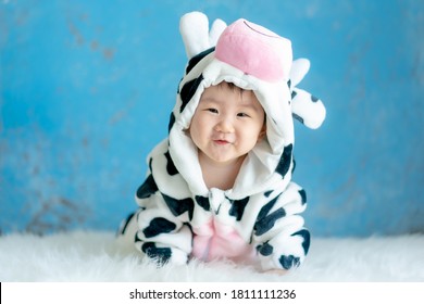 Cute Little Baby in Cow Costume. Asian Baby wearing Cow Suit for Halloween