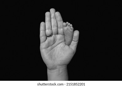 Cute Little Baby Foot On Dad's Big Hand. Black And White Card. Comparison