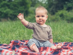 A Cute Little Baby In Nature Is Sitting On A Picnic Blanket And Is Waving