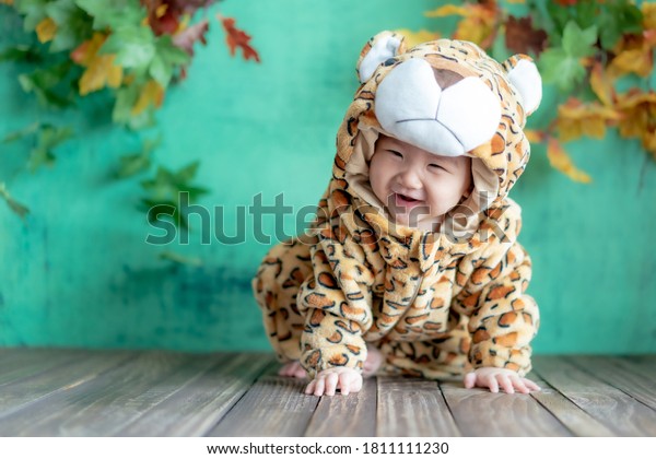 Cute Little Baby in Tiger Costume. Asian Baby\
wearing Tiger Suit for\
Halloween