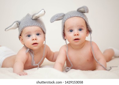 cute little baby twins having fun