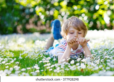Cute little blond kid boy with blue eyes laying on the grass with daisies flowers in the park. On warm summer day during school holidays. Child dreaming and smiling.