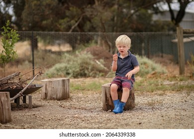 Cute Little Blonde Boy Sitting On Log Near Backyard Fire Pit