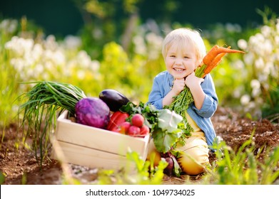 7,469 Children Picking Vegetables In The Farm Images, Stock Photos ...