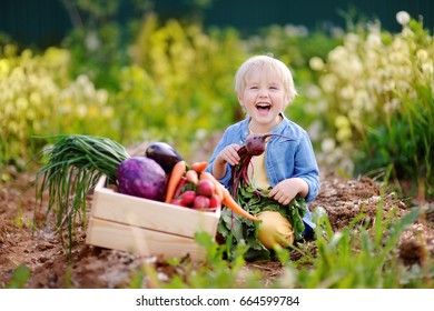 1,408 Beetroot kids Images, Stock Photos & Vectors | Shutterstock