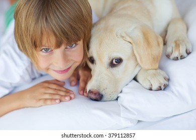 Cute Little Boy Hugs Dog Love Stock Photo 379112923 | Shutterstock