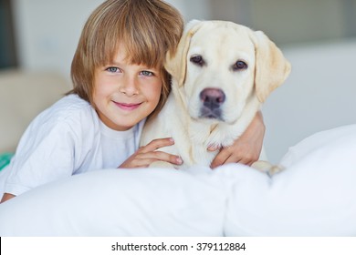 Cute Little Boy Hugs Dog Love Stock Photo 379112884 | Shutterstock