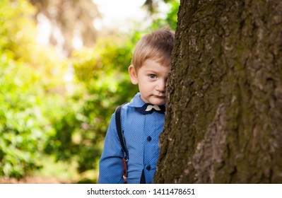 Cute Little Boy Leaning Against Big Tree And Shy In Summer, Child Portrait Outdoors