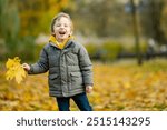 Cute little boy playing outdoors on sunny autumn day. Child exploring nature. Fall activities for small kids.