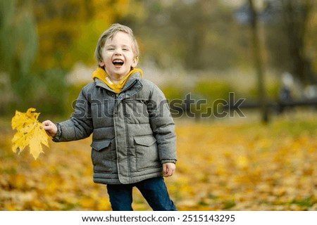 Cute little boy playing outdoors on sunny autumn day. Child exploring nature. Fall activities for small kids.