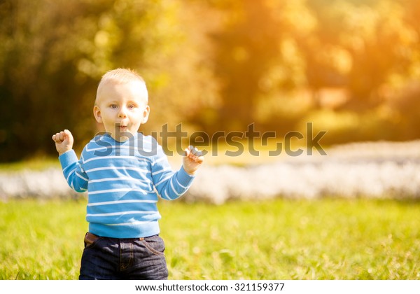 Cute Little Boy Standing Green Grass Stock Photo (Edit Now) 321159377