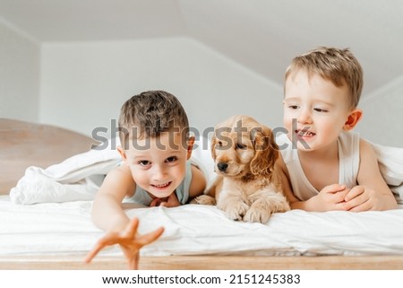 Cute little boys having fun with pet Cocker Spaniel puppy dog, lying prone on wtite bed at home under blanket, smiling and playing.