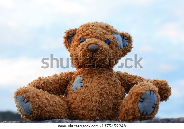 little brown teddy bear