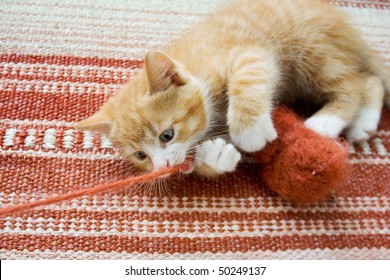 Cute Little Cat Playing With Wool Reel