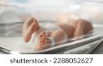 Cute Little Caucasian Newborn Baby Lying in Bassinet in a Maternity Hospital. Portrait of a Tiny Playful and Energetic Child with a Name ID Tag on the Leg. Healthcare, Pregnancy and Motherhood Concept