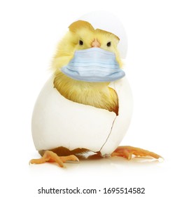 Cute Little Chicken Coming Out Of A White Egg In Protective Face Mask Isolated On White Background