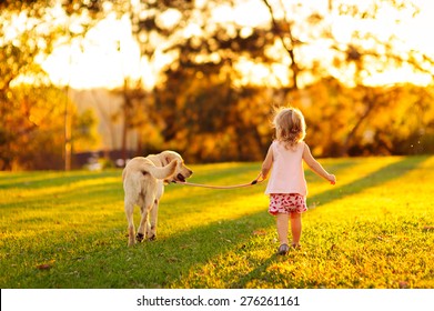 Cute Little Child, Adorable Girl With Curly Hair And Her Dog, Yellow Labrador Walking Away Into The Sunset Light In A Countryside Park 