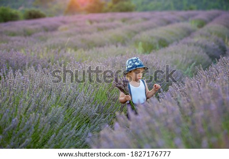 Similar – lavender freedom Lifestyle