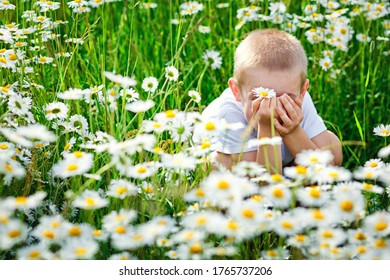 Kleines Kind auf einem Feld mit Gänseblümchen. Der Junge sitzt auf einem Feld mit Kamellen und bedeckte seine Augen mit den Händen. Schöne Natur mit Blumen. Das Kind verbringt Zeit damit, Verstecken zu spielen.