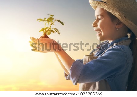 Cute little child girl with seedlings on sunset background. Fun little gardener. Spring concept, nature and care.