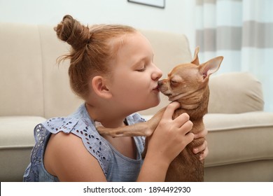 Cute Little Child With Her Chihuahua Dog At Home. Adorable Pet