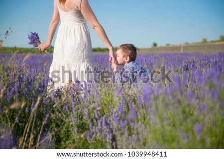 Similar – In the lavender field