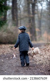 Cute Little Child, Preschool Boy, Holding Lantern And Teddy Bear, Walking In A Dark Forest