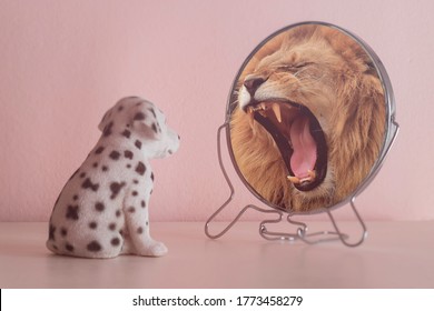 lion reflection images stock photos vectors shutterstock https www shutterstock com image photo cute little dog looks mirror sees 1773458279